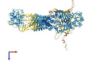AlphaFold protein structure predicition of Mouse Recombinant Abca8a Protein, UniprotID Q8K442