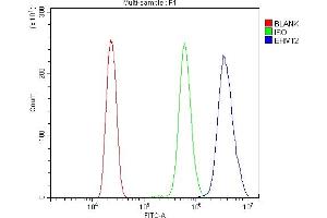 Flow Cytometry analysis of HL-60 cells using anti-EHMT2/G9A antibody (ABIN7602084). (EHMT2 抗体  (AA 580-1195))