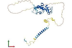 Protein Structure (PS) image for Zinc Finger Protein-Like 1 (ZFPL1) (AA 1-310) protein (His tag) (ABIN7545728)