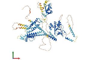 Protein Structure (PS) image for Potassium Voltage-Gated Channel, Subfamily H (Eag-Related), Member 1 (KCNH1) (AA 1-989) protein (His tag) (ABIN7554236)