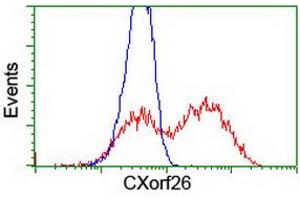 Flow Cytometry (FACS) image for anti-Chromosome X Open Reading Frame 26 (CXorf26) antibody (ABIN1497690) (CXorf26 抗体)