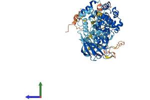 AlphaFold protein structure predicition of Human Recombinant RPS6KA1 Protein, UniprotID Q15418