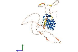 Protein Structure (PS) image for T-Box 1 (TBX1) (AA 1-479) protein (His tag) (ABIN7556694)