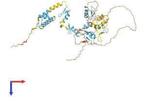 ZFP57 Protein (AA 1-452) (His tag)