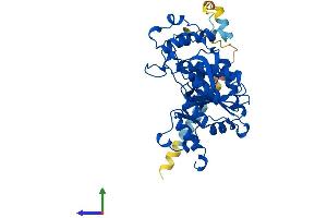 Protein Structure (PS) image for UDP-GlcNAc:BetaGal beta-1,3-N-Acetylglucosaminyltransferase 2 (B3GNT2) (AA 1-397) protein (His tag) (ABIN7552566)