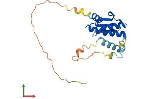 Protein Structure (PS) image for XRCC6 Binding Protein 1 (XRCC6BP1) (AA 1-201) protein (His tag) (ABIN7560677)