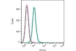 Cell surface detection of NPFFR2 by indirect flow cytometry in live intact human  monocytic leukemia cell line: + goat-anti-rabbit-FITC.