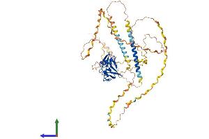 Protein Structure (PS) image for Macrophage Receptor with Collagenous Structure (MARCO) (AA 1-520) protein (His tag) (ABIN7549320)