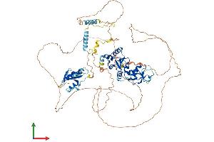 Protein Structure (PS) image for Microcephalin 1 (MCPH1) (AA 1-822) protein (His tag) (ABIN7558307)