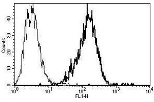 A typical staining pattern with the B-L5 monoclonal antibody of Raji cell line (ST6GAL1 抗体)