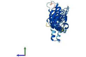 Protein Structure (PS) image for Ankyrin Repeat and SOCS Box Containing 7 (ASB7) (AA 1-318) protein (His tag) (ABIN7552413)