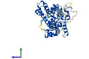Protein Structure (PS) image for Galactose 3-O-Sulfotransferase 1 (GAL3ST1) (AA 1-423) protein (His tag) (ABIN7561496)