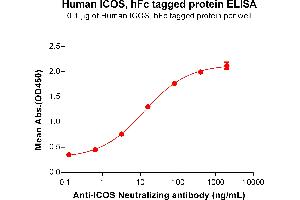 ELISA image for Inducible T-Cell Co-Stimulator (ICOS) (AA 21-140) protein (Fc Tag) (ABIN6961167)