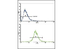 Flow Cytometry (FACS) image for anti-Amine Oxidase, Copper Containing 3 (Vascular Adhesion Protein 1) (AOC3) (AA 613-640) antibody (ABIN652478)