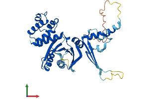 Protein Structure (PS) image for Centromere Protein N (CENPN) (AA 1-339) protein (His tag) (ABIN7553170)