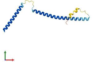 Protein Structure (PS) image for Spindle and Kinetochore-Associated Protein 2 (FAM33A) (AA 1-120) protein (His tag) (ABIN7560609)