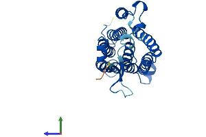 Protein Structure (PS) image for Alkaline Ceramidase 1 (ACER1) (AA 1-264) protein (His tag) (ABIN7551769)