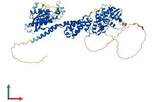 Protein Structure (PS) image for rho-Related BTB Domain Containing 2 (RHOBTB2) (AA 1-727) protein (His tag) (ABIN7551334)