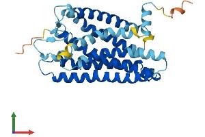 Protein Structure (PS) image for Olfactory Receptor 2H1 (OR2H1) (AA 1-316) protein (His tag) (ABIN7550243)