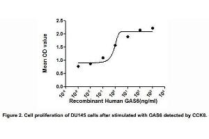Image no. 2 for Growth Arrest-Specific 6 (GAS6) (AA 136-311) (Active) protein (His tag) (ABIN6239765)