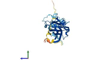 Protein Structure (PS) image for rho GDP Dissociation Inhibitor (GDI) gamma (ARHGDIG) (AA 1-225) protein (His tag) (ABIN7547920)