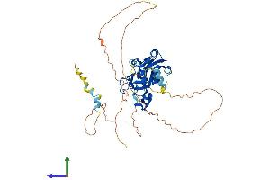 Protein Structure (PS) image for T-Box 20 (TBX20) (AA 1-447) protein (His tag) (ABIN7544329)