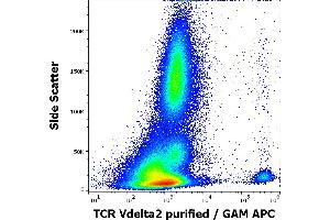 Flow cytometry surface staining pattern of human peripheral whole blood stained using anti-human TCR Vdelta2 (B6) purified antibody (concentration in sample 0,3 μg/mL, GAM APC). (TCR, V delta 2 抗体)