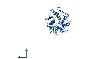 Protein Structure (PS) image for Zinc Finger Protein 501 (ZNF501) (AA 1-271) protein (His tag) (ABIN7545808)