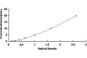 Typical standard curve (Glucose Oxidase ELISA 试剂盒)