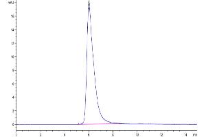 Size-exclusion chromatography-High Pressure Liquid Chromatography (SEC-HPLC) image for Programmed Cell Death 1 (PDCD1) (AA 25-167) protein (Fc-Avi Tag,Biotin) (ABIN7275422)