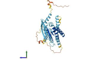 AlphaFold protein structure predicition of Human Recombinant SEPTIN5 Protein, UniprotID Q99719
