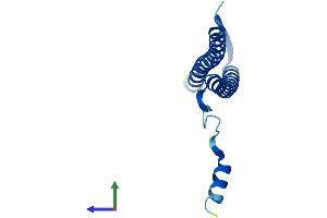 Protein Structure (PS) image for P53 and DNA-Damage Regulated 1 (PDRG1) (AA 1-133) protein (His tag) (ABIN7556535)
