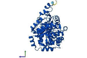 Protein Structure (PS) image for Enolase Superfamily Member 1 (ENOSF1) (AA 1-443) protein (His tag) (ABIN7547391)