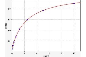 alpha-L-Fucosidase (Fuca) ELISA 试剂盒