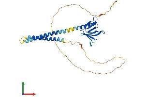 Protein Structure (PS) image for Pleckstrin Homology Domain Containing Family A3 (PLEKHA3) (AA 1-297) protein (His tag) (ABIN7561445)