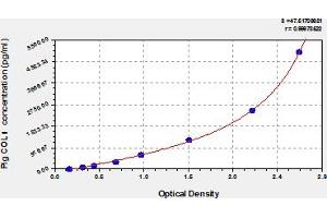 ELISA image for Collagen, Type I (COL1) ELISA Kit (ABIN6976229)