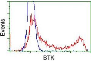 HEK293T cells transfected with either pCMV6-ENTRY BTK (RC211582) (Red) or empty vector control plasmid (Blue) were immunostained with anti-BTK mouse monoclonal (ABIN2452836), and then analyzed by flow cytometry. (BTK 抗体)