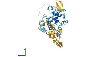 AlphaFold protein structure predicition of Human Recombinant EBLN2 Protein, UniprotID Q6P2I7