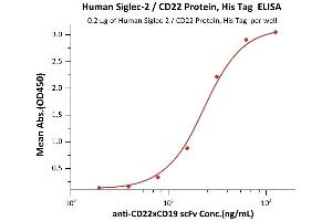 Immobilized Human Siglec-2, His Tag (ABIN5526644,ABIN5526645) at 2 μg/mL, add increasing concentrations of aCD19 scFv and then add Biotinylated Human CD19 (20-291), Fc,Avitag (ABIN6972967) at 0. (CD22 Protein (AA 20-687) (His tag))