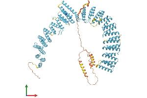 AlphaFold protein structure predicition of Mouse Recombinant Xab2 Protein, UniprotID Q9DCD2