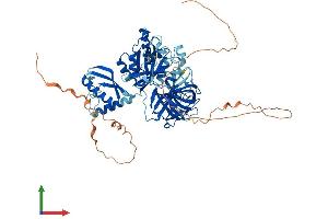 Protein Structure (PS) image for GTP Binding Protein 1 (GTPBP1) (AA 1-668) protein (His tag) (ABIN7562174)