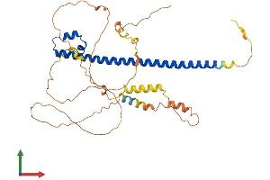 AlphaFold protein structure predicition of Human Recombinant MAF Protein, UniprotID O75444
