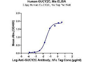 Immobilized Human GUCY2C, His Tag at 5 μg/mL (100 μL/well) on the plate. (GUCY2C Protein (His-Avi Tag))