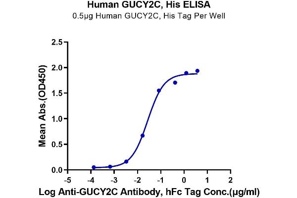 GUCY2C Protein (His-Avi Tag)