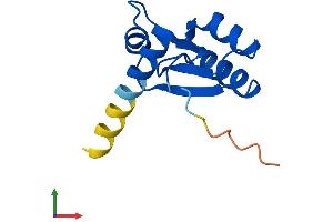 Protein Structure (PS) image for Ribosomal Protein L30 (RPL30) (AA 1-115) protein (His tag) (ABIN7551430)