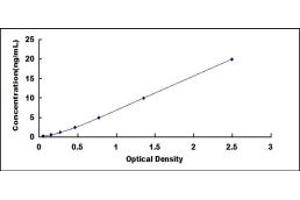 Typical standard curve (Apoptosis Inhibitor 5 ELISA 试剂盒)