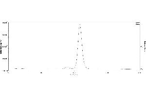 Image no. 3 for SARS-CoV-2 Spike S1 (RBD) protein (Fc Tag) (ABIN6952462)