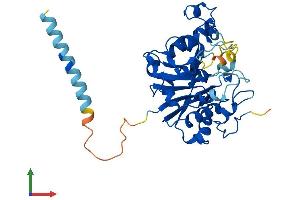 Protein Structure (PS) image for Glycosyltransferase 8 Domain Containing 2 (GLT8D2) (AA 1-349) protein (His tag) (ABIN7557806)