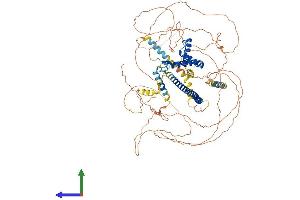 Protein Structure (PS) image for SRY (Sex Determining Region Y)-Box 6 (SOX6) (AA 1-828) protein (His tag) (ABIN7546147)