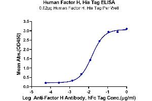 ELISA image for Complement Factor H (CFH) (AA 860-1231) protein (His tag) (ABIN7274337)